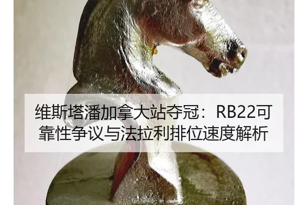 wei-si-ta-pan-jia-na-da-zhan-duo-guan-ke-kao-xing-zheng-yi-yu-fa-la-li-pai-wei-su-du-jie-xi-3-244.jpg